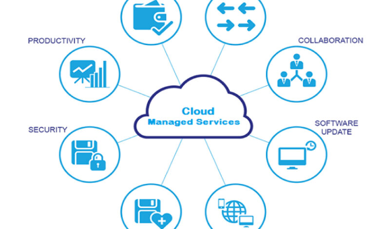 Managed cloud networking services