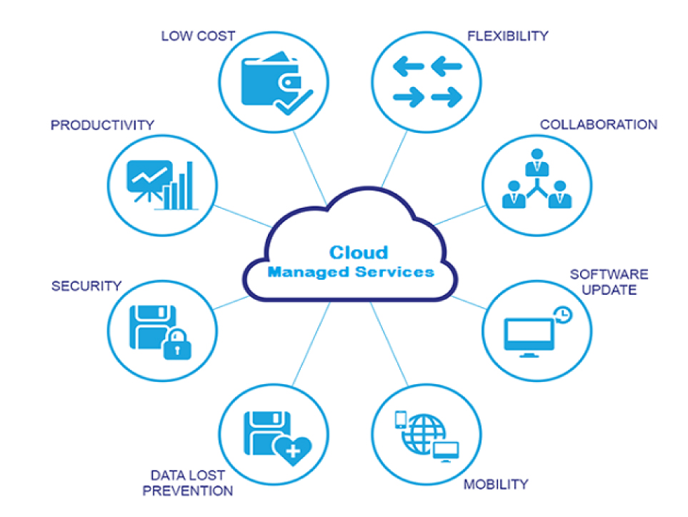 Managed cloud networking services