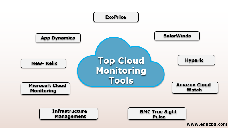 Cloud networking monitoring and analytics