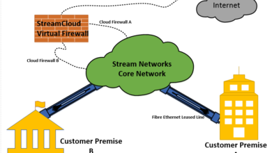 Cloud networking firewall services